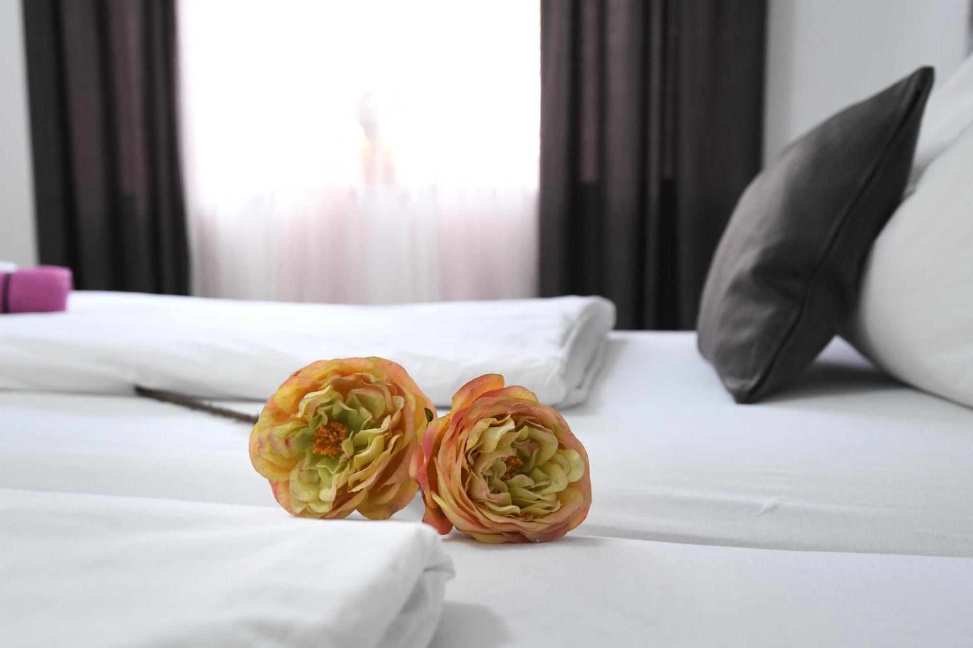 Green Lighthouse Rooms Zadar Exterior foto